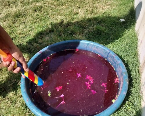Holi Celebration